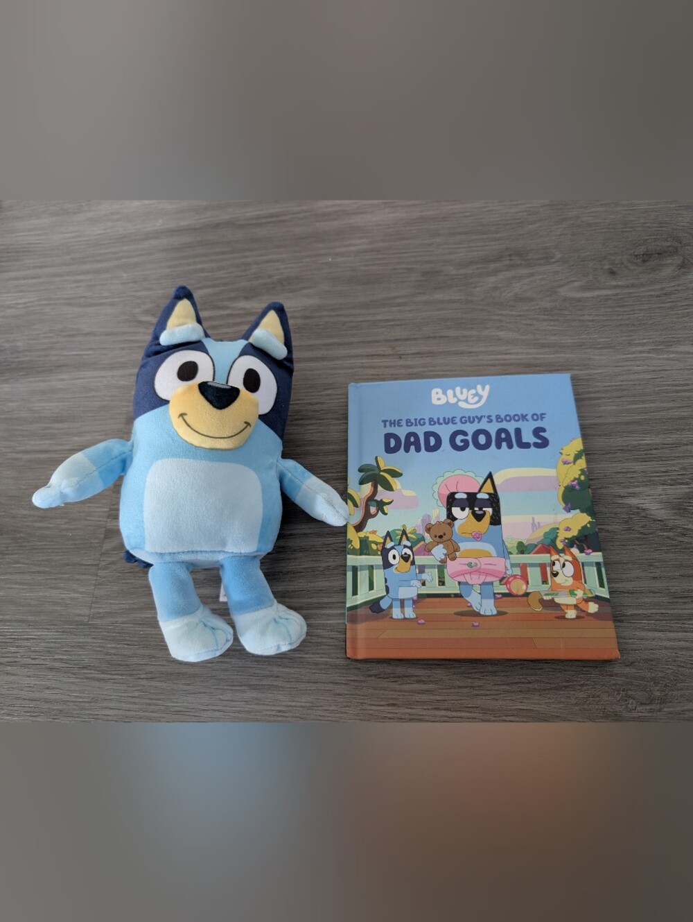 Bluey Plushy And Dad Goals Book